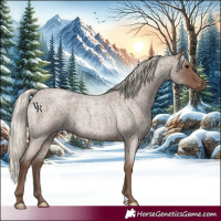 Horse Color:Silver Blue Roan 