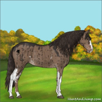 Horse Color:White Spotted Liver Red Dun Sabino Brindle 