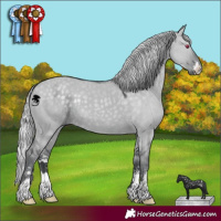 Horse Color:Silver Grullo Chinchilla Sabino 