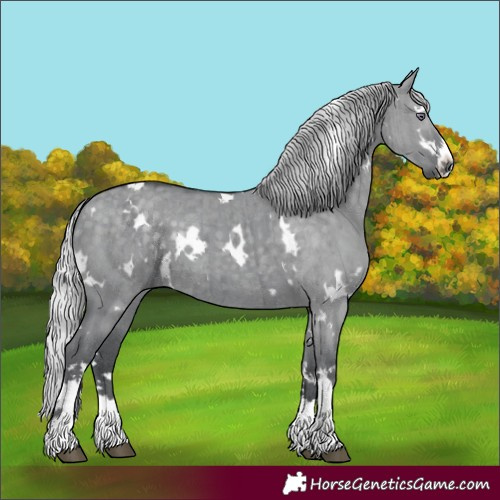Horse Color:White Spotted Silver Grullo Chinchilla Brindle
