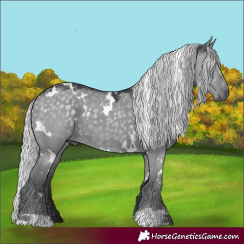 Horse Color:White Spotted Silver Grullo Chinchilla 
