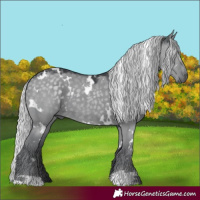 Horse Color:White Spotted Silver Grullo Chinchilla 