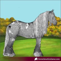 Horse Color:White Spotted Silver Grullo Chinchilla 