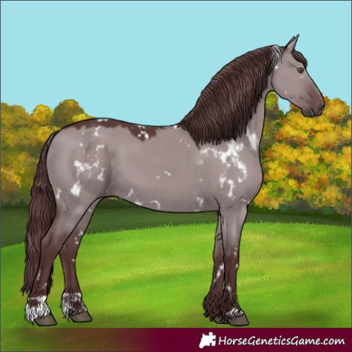 Horse Color:White Spotted Chocolate Grullo Chinchilla 