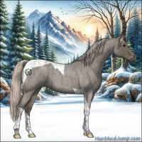 Horse Color:Silver Blue Roan Tobiano 