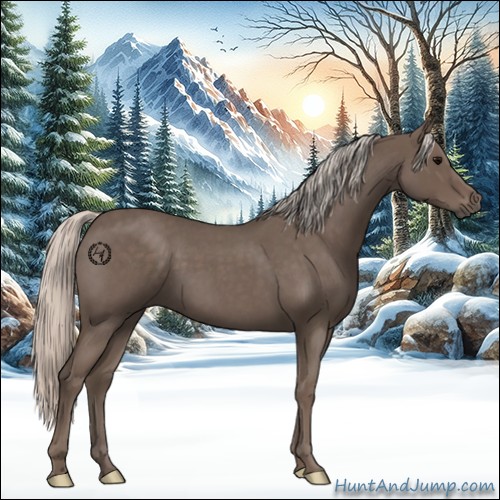 Horse Color:Silver Blue Roan 