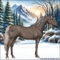 Horse Color:Silver Blue Roan 