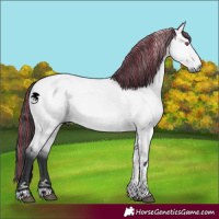 Horse Color:Painted Bay Chinchilla Dun Tobiano 