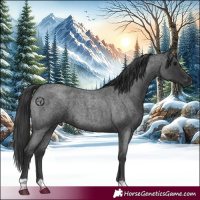 Horse Color:Blue Roan 