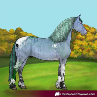Horse Color:Painted Bay Chinchilla Dun Tobiano Brindle 