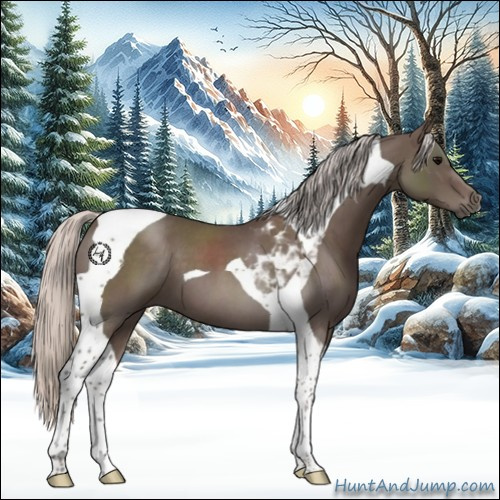Horse Color:Silver Blue Roan Tobiano