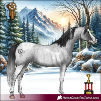 Horse Color:Blue Roan Splash Tobiano