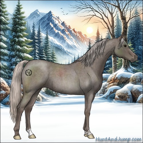 Horse Color:Silver Blue Roan