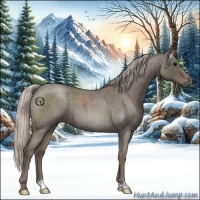 Horse Color:Silver Blue Roan 