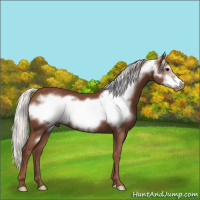 Horse Color:Silver Black Frame