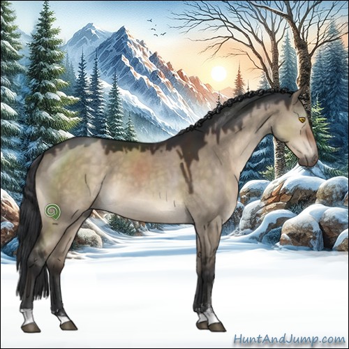 Horse Color:Brown Dun Sabino 