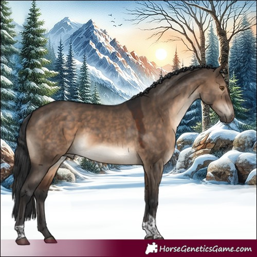 Horse Color:Brown Dun Tobiano 