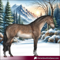 Horse Color:Brown Dun Tobiano 