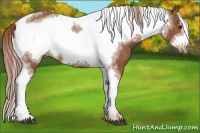 Horse Color:Chestnut Tobiano Frame