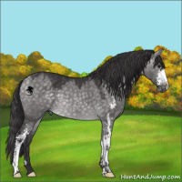 Horse Color:Platinum Buckskin Dun Sabino 