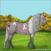 Horse Color:Watercolor White Spotted Silver Brown Dun 