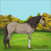 Horse Color:Smoky Grullo 