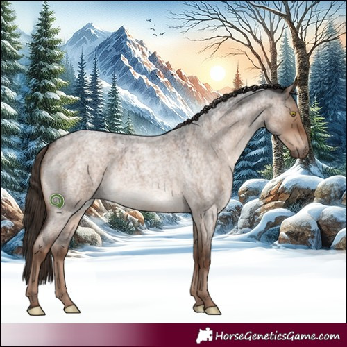Horse Color:Liver Red Dun Roan 