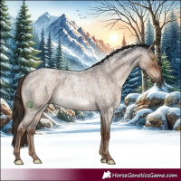 Horse Color:Liver Red Dun Roan 