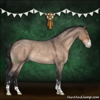 Horse Color:Brown Roan Dun Sabino 