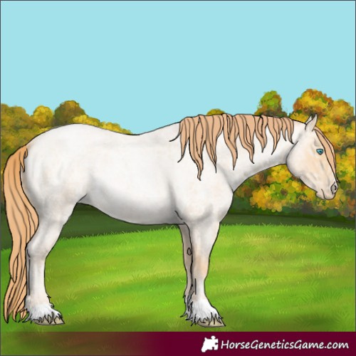 Horse Color:Chocolate Buckskin Ice Roan Pearl 