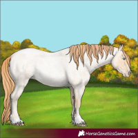 Horse Color:Chocolate Buckskin Ice Roan Pearl