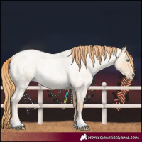 Horse Color:Chocolate Buckskin Ice Roan Pearl