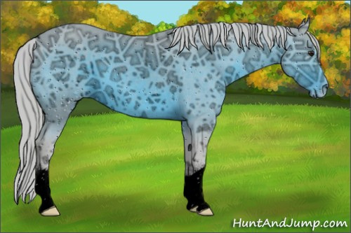 Horse Color:ERROR: UNKNOWN ANOMALY