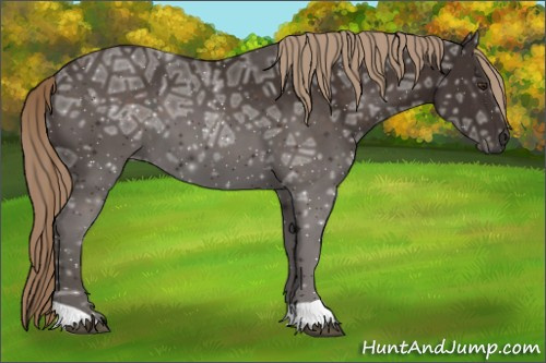 Horse Color:Liver Chestnut Ice 