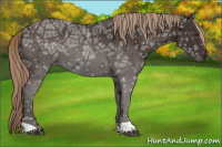 Horse Color:Liver Chestnut Ice 