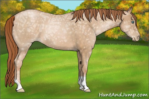 Horse Color:Chocolate Buckskin Ice Roan Pearl 