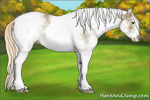 Horse Color:White Spotted Chocolate Palomino Ice