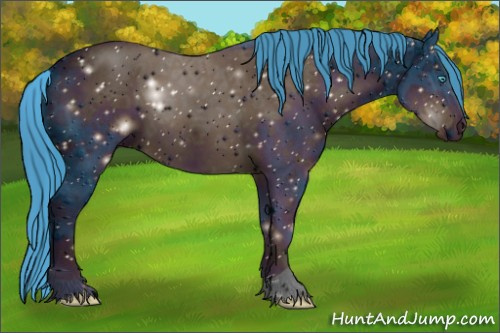 Horse Color:ERROR: UNKNOWN ANOMALY