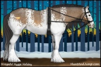 Horse Color:White Spotted Buckskin Roan 