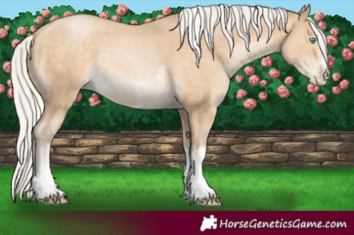 Horse Color:Silver Buckskin Pearl Sabino Tobiano 