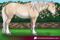 Horse Color:Silver Buckskin Pearl Sabino Tobiano 