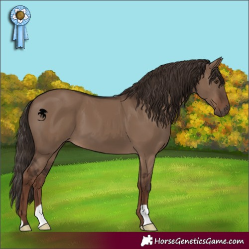 Horse Color:Liver Red Dun 