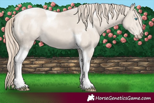 Horse Color:Smoky Creme Mushroom Tobiano 