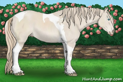 Horse Color:Smoky Creme Sabino Tobiano