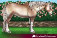 Horse Color:Silver Blue Onyx Pearl 