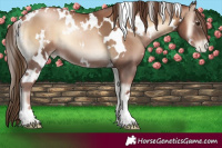 Horse Color:White Spotted Liver Red Onyx Pearl 