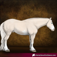 Horse Color:Cremello 