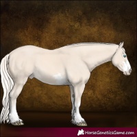 Horse Color:Cremello 