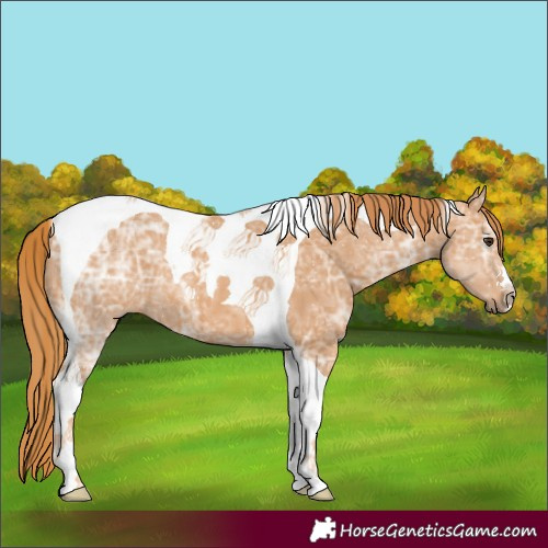 Horse Color:Chestnut Ice Tobiano 