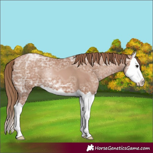 Horse Color:Black Ice Pearl Splash 
